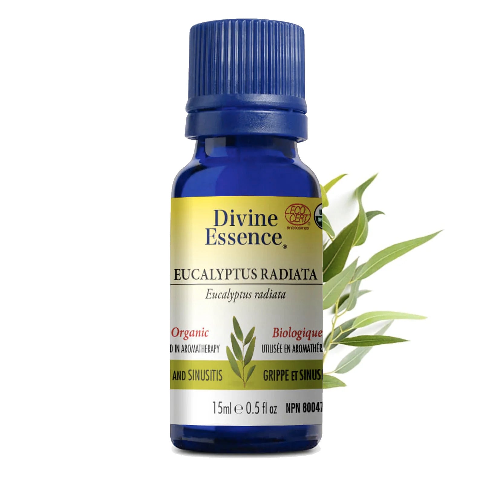 Eucalyptus Radiata - Divine Essence - Format 15ml ou 30ml